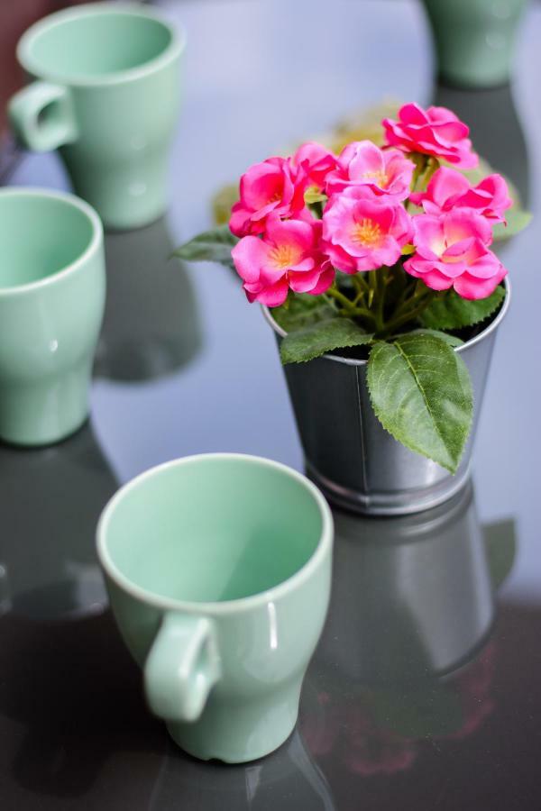 Rose Garden Apartment Privlaka  Ngoại thất bức ảnh