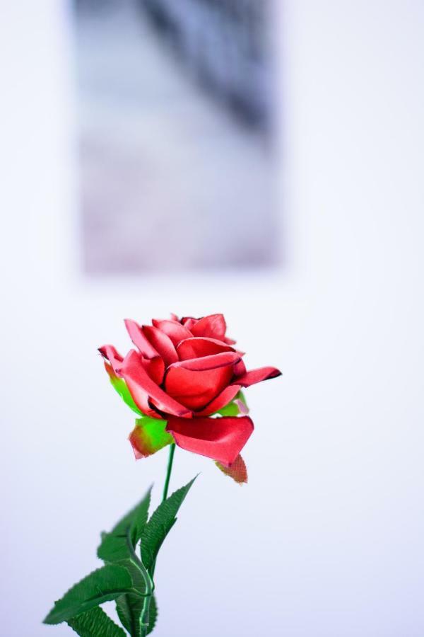 Rose Garden Apartment Privlaka  Ngoại thất bức ảnh
